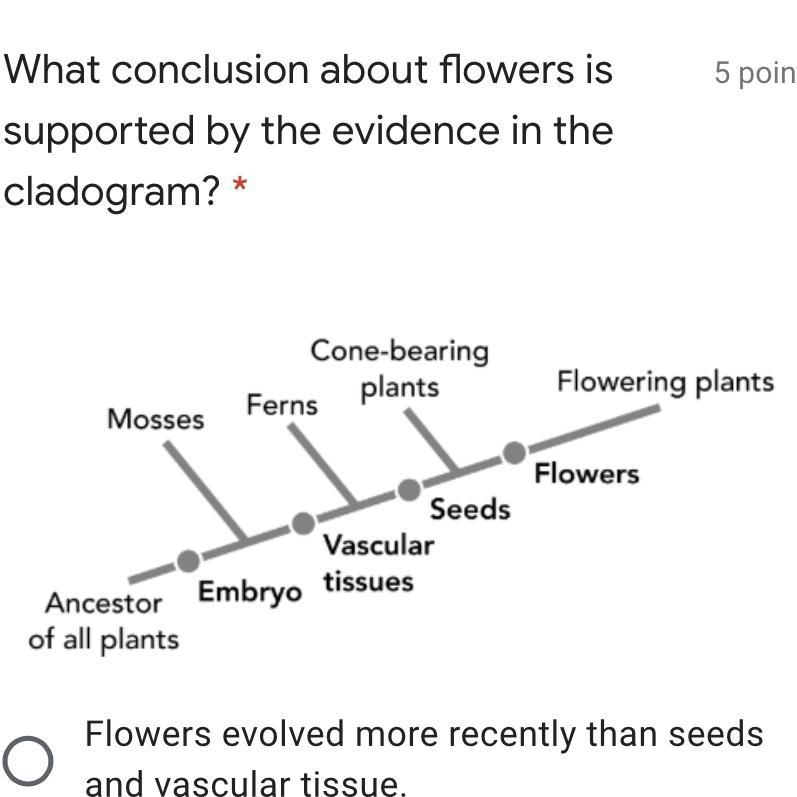 What conclusion about flowers is supported by the evidence in the cladogram? * 5 points-example-1