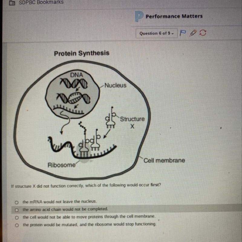 If structure X did not function correctly, which of the following would occur first-example-1