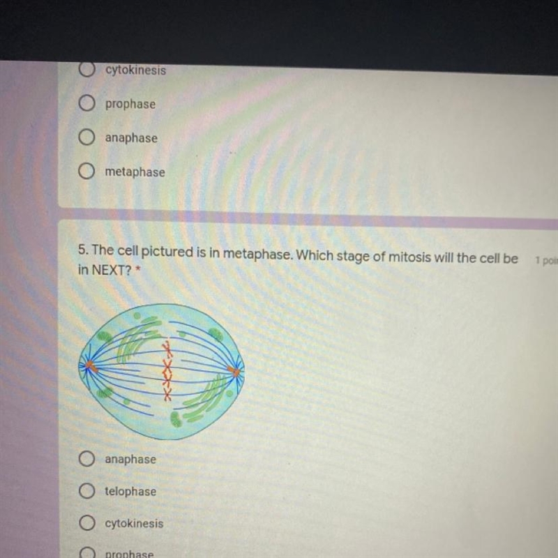 The cell pictured is in metaphase. Which stage of mitosis will the cell be in NEXT-example-1