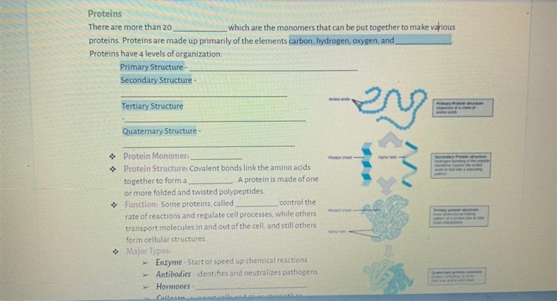 Please help me with this bio work thanks-example-1