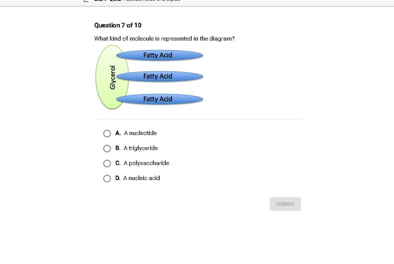 What kind of molecule is represented in the diagram?-example-1