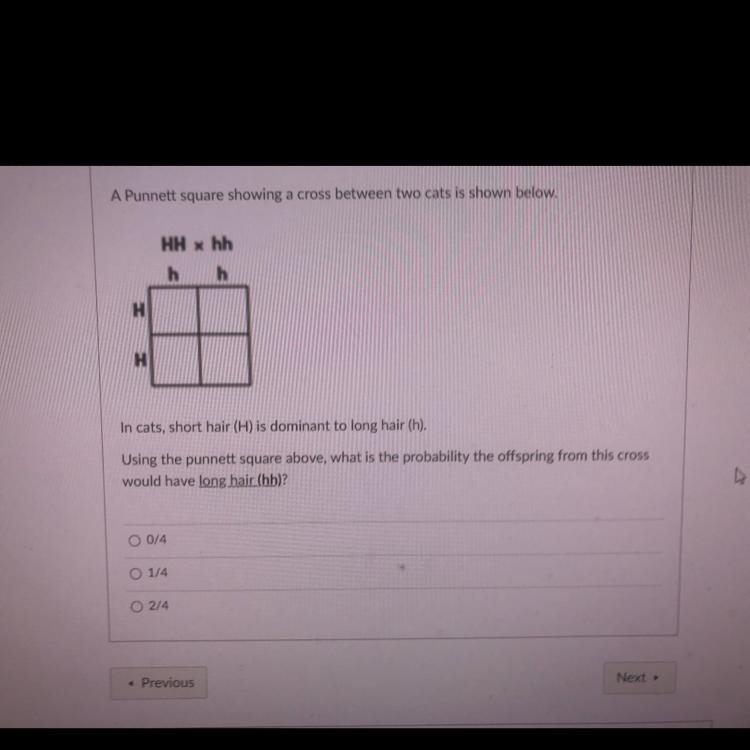 A Punnett square showing a cross between two cats is shown below. HH x hh h h H H-example-1