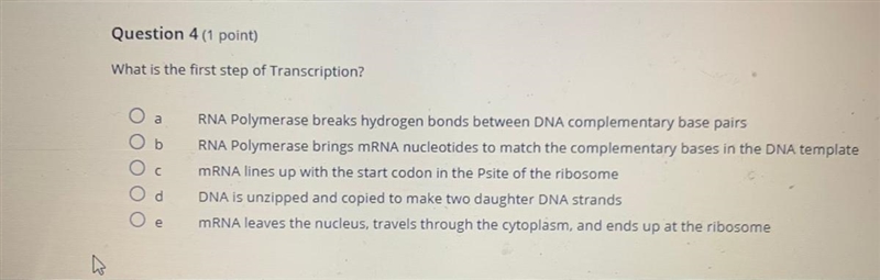 Help please thank you so much-example-1