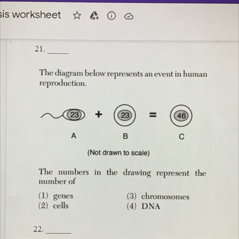 Answer 21 please thanks-example-1