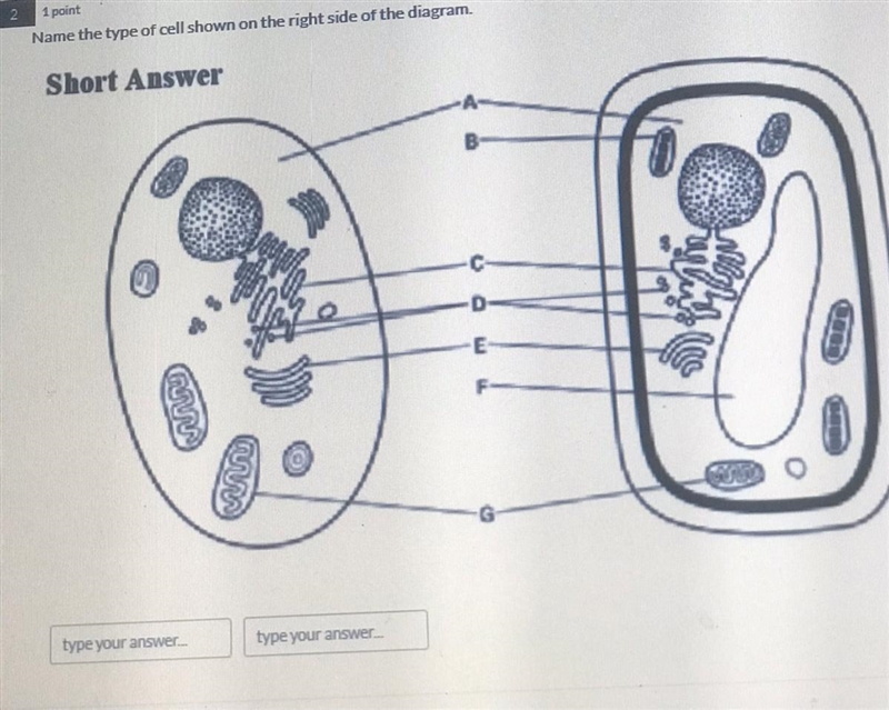 What is the answer? Please-example-1