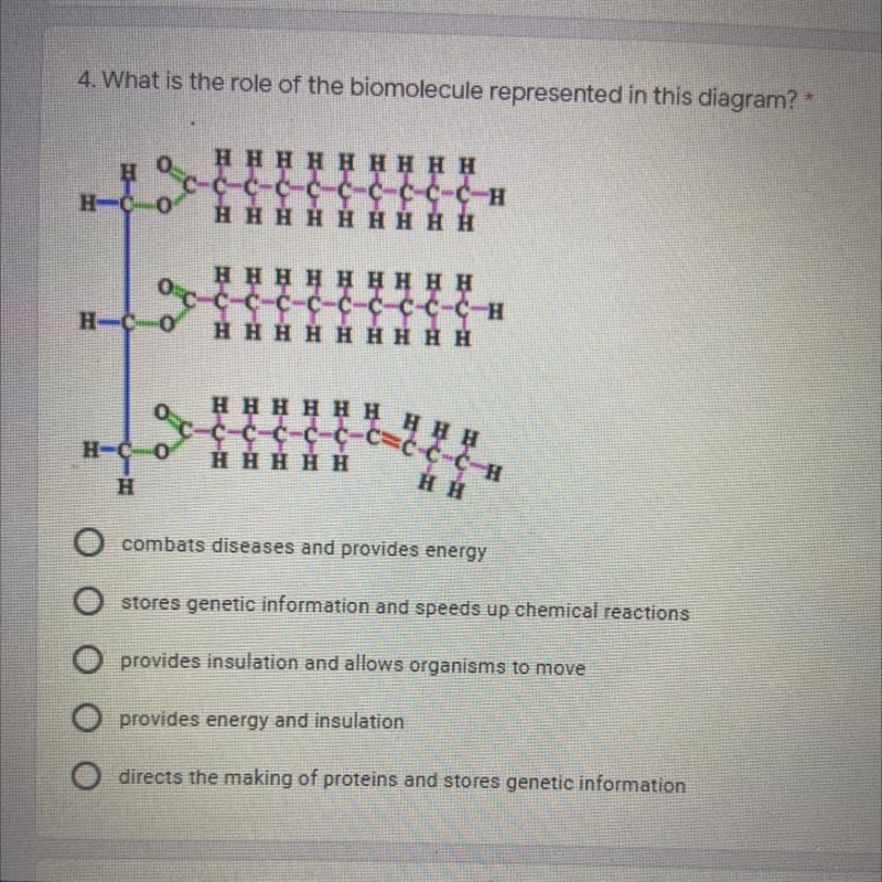 What is the role of the biomolecule represented in this diagram?-example-1