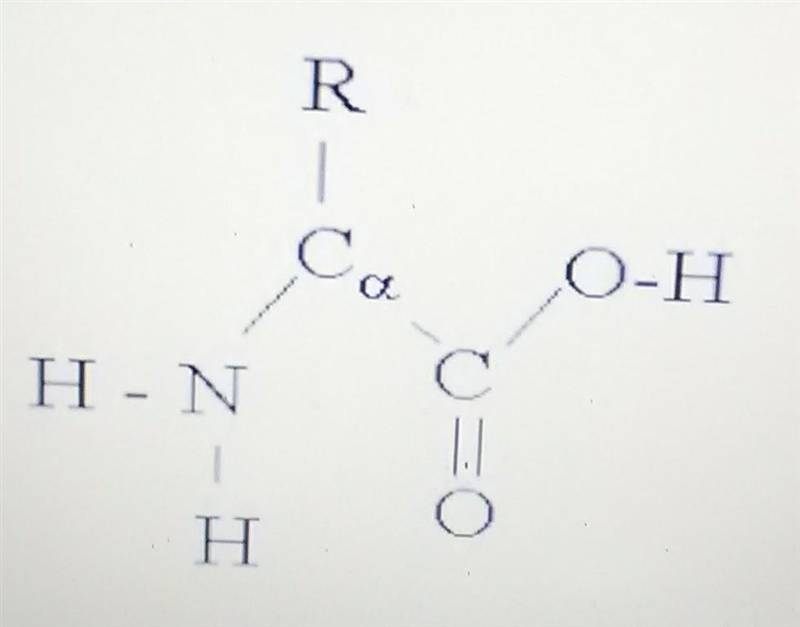 What compound is this? Carbohydrates Lipids Nucleic acids Proteins ​​-example-1