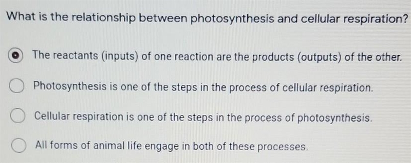 What is the relationship between photosynthesis and cellular respiration?​-example-1