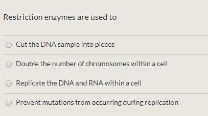 Bio questions about Biotechnology.-example-1