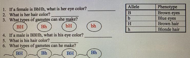 Does anyone know 1,2,3,4,5,6?-example-1