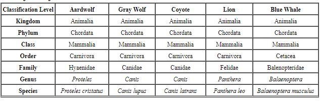 In what two ways are the organisms in the table similar to organisms in the plant-example-1