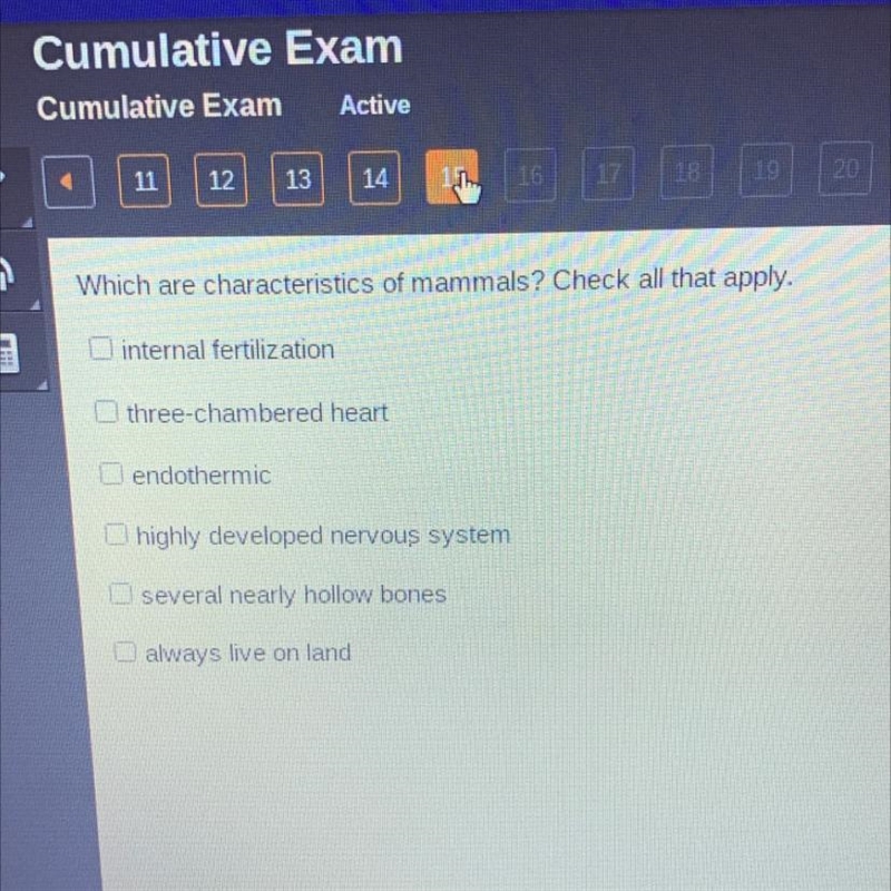 Which are characteristics of mammals? Check all that apply. internal fertilization-example-1