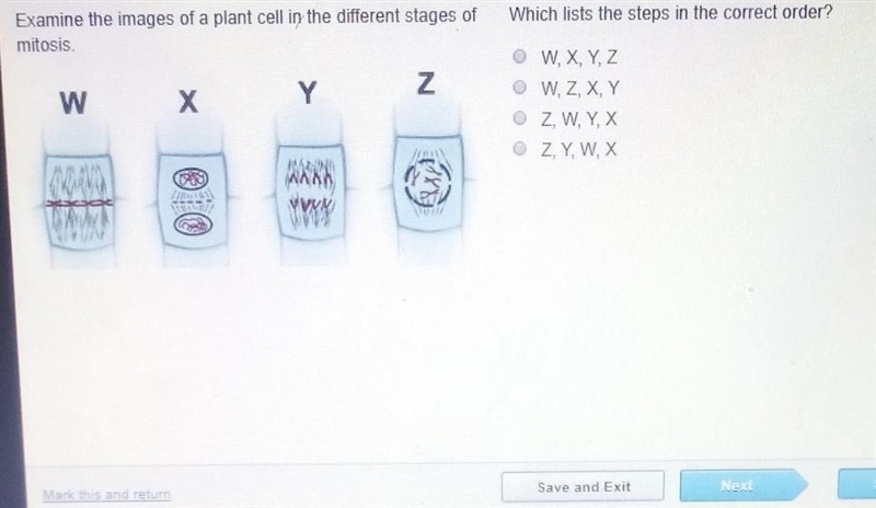 examine the images of a plant cell in different stages of mitosis which list the steps-example-1