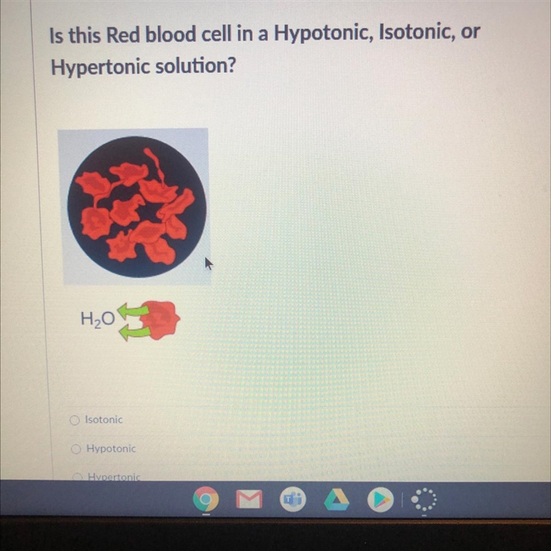 Is this Red blood cell in a Hypotonic, Isotonic, or Hypertonic solution?-example-1