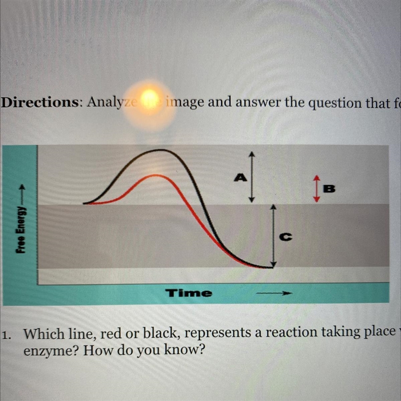 PLzzz helpp Directions: Analyze the image and answer the question that follows. 1. Which-example-1