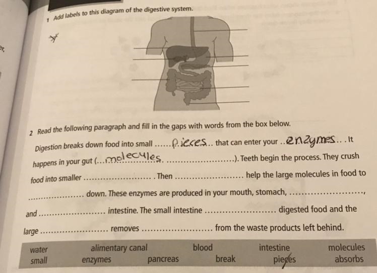 Can someone help me out with the 2 read the following paragraph and fill in the gaps-example-1