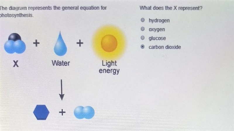 The diagram represents the general equation for photosynthesis what does The X represent-example-1