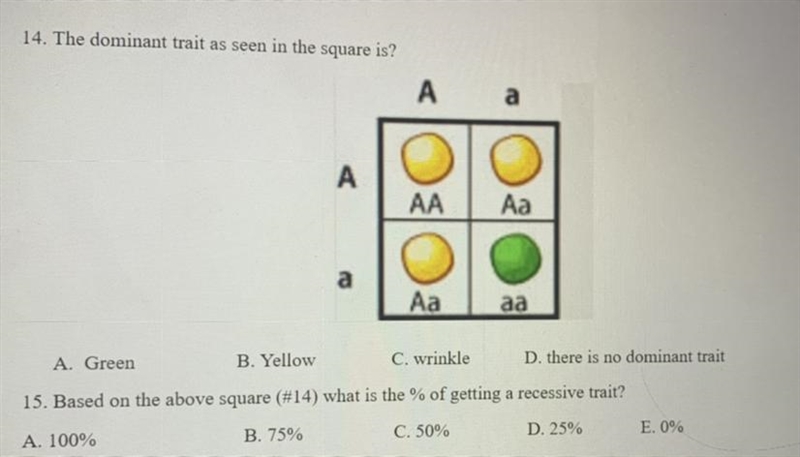 Please answer this thank you-example-1