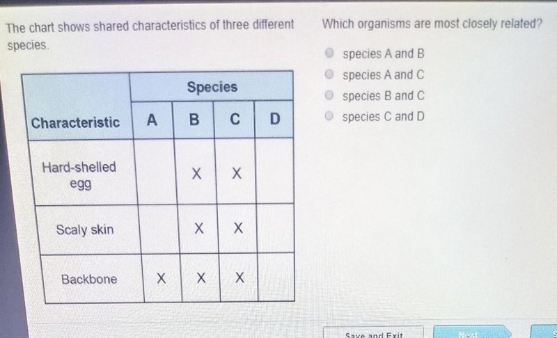 the chart shows shared characteristics of three different species which organisms-example-1