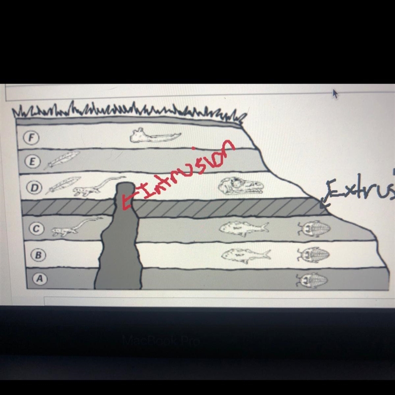 6. Which is younger, the intrusion or rock layer C? How do you know?-example-1