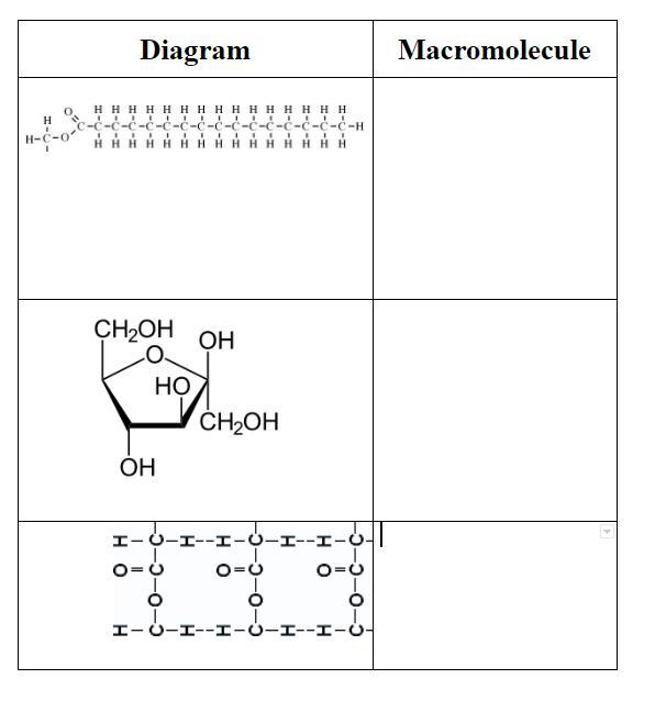 Identify monomers and describe the function for all macromolecules-example-1