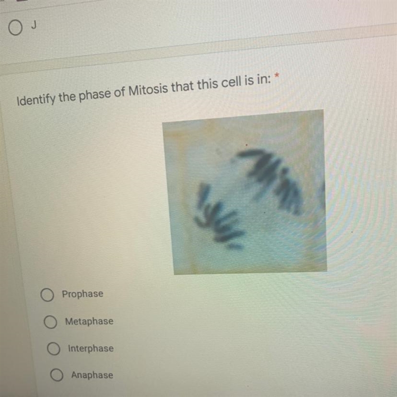 Identify the phase of Mitosis that this cell is in: Please help I’m begging you I-example-1