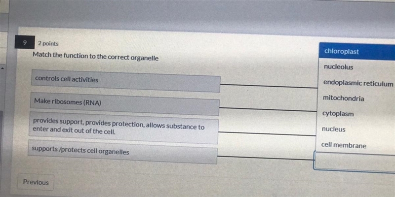 What is the answer? Please-example-1