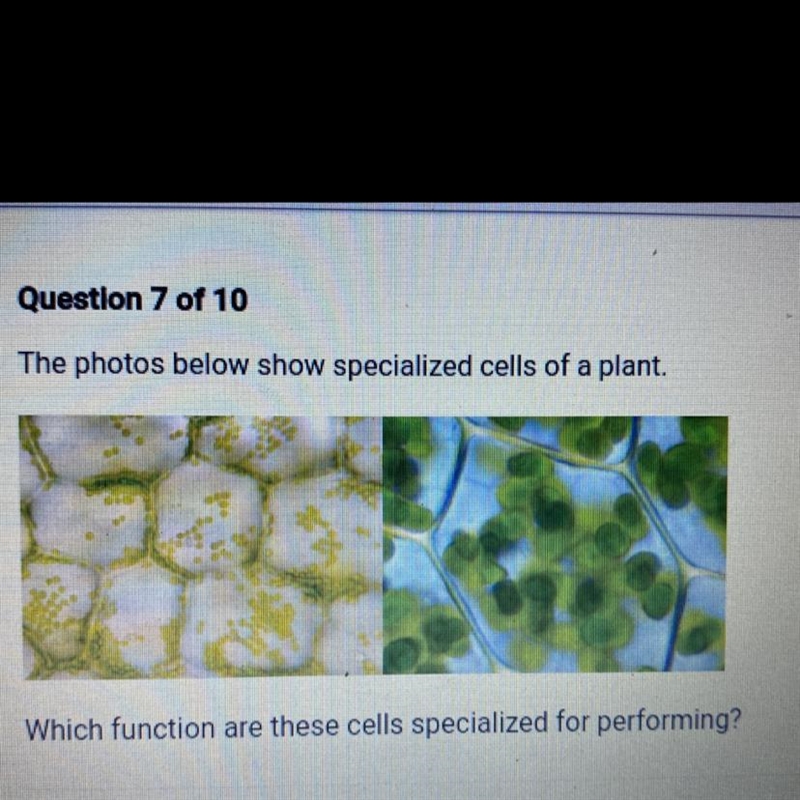 The photos below show specialized cells of a plant. Which function are these cells-example-1