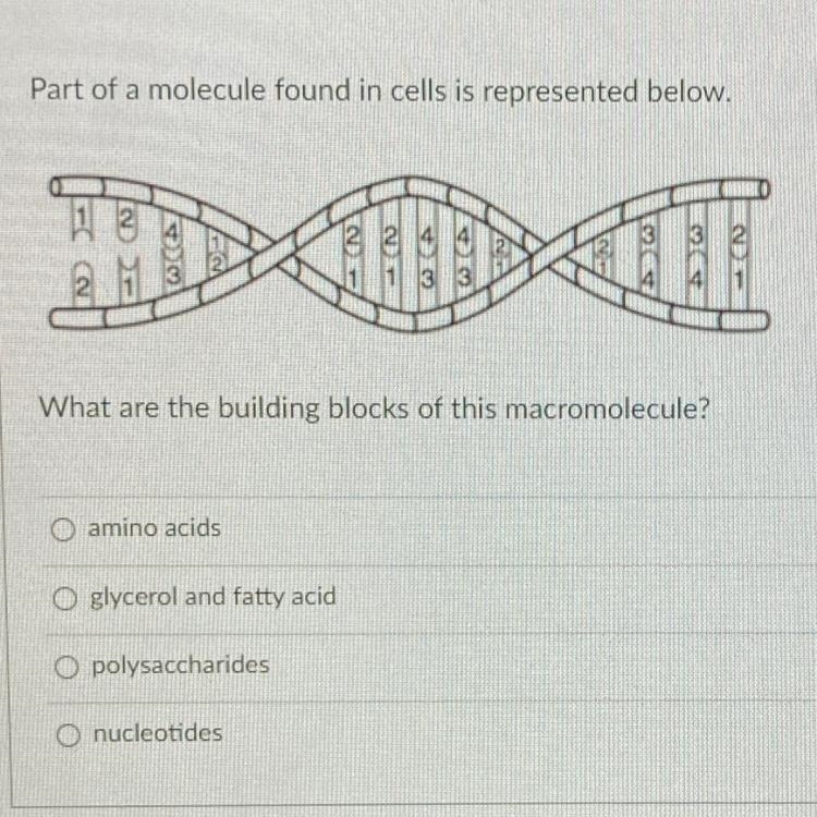 WHAT IS THIS PLEASE HELP? correct answer please don’t guess. !-example-1