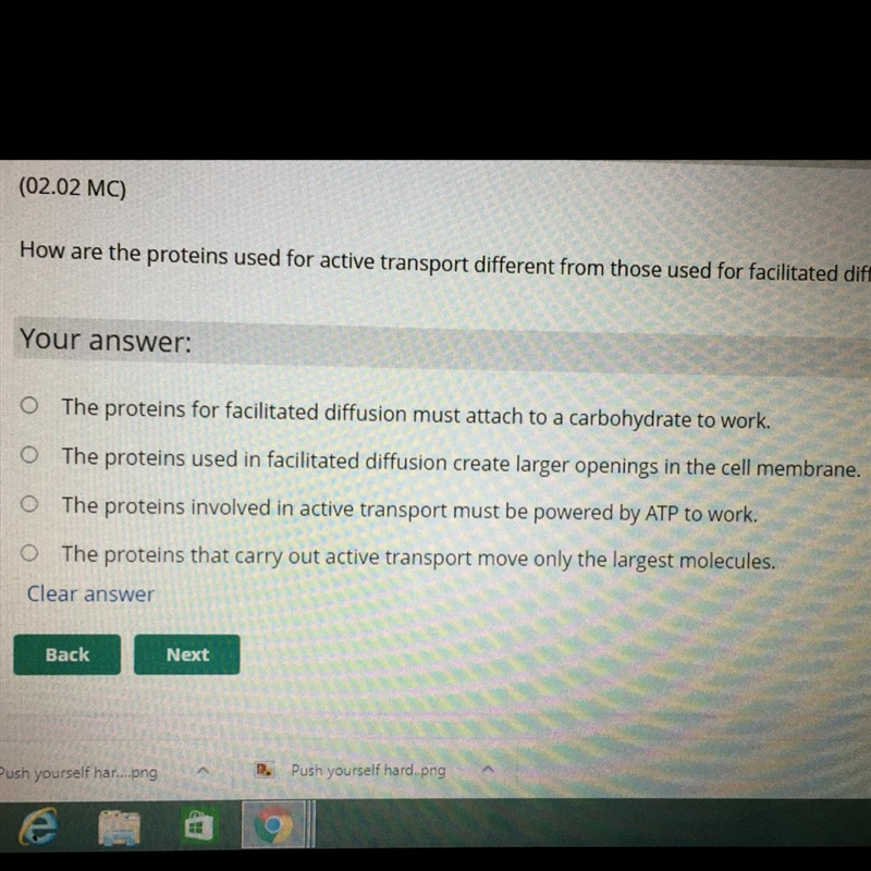 How are the proteins used for active transport different from those used for facilitated-example-1