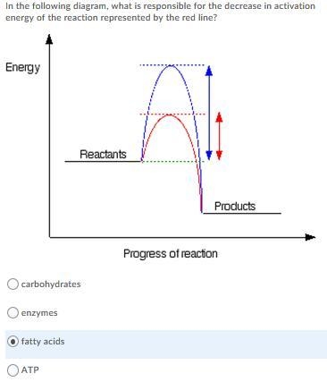 Help biology homework is hard-example-1