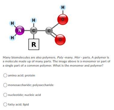 Help biology homework is hard-example-2