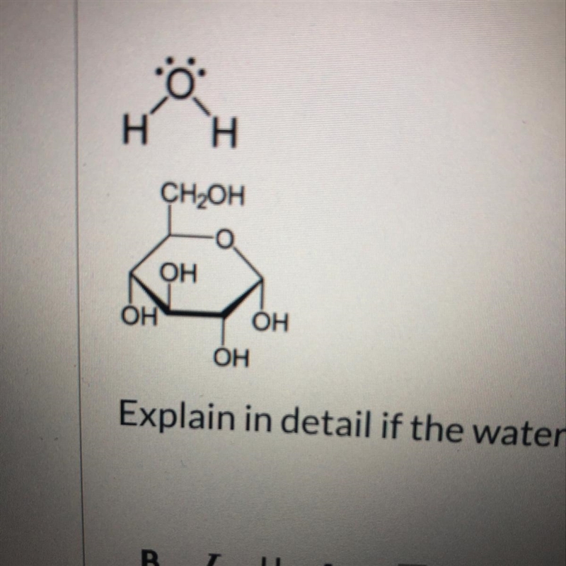 Explain in detail if the water molecule (top) can interact with the glucose molecule-example-1