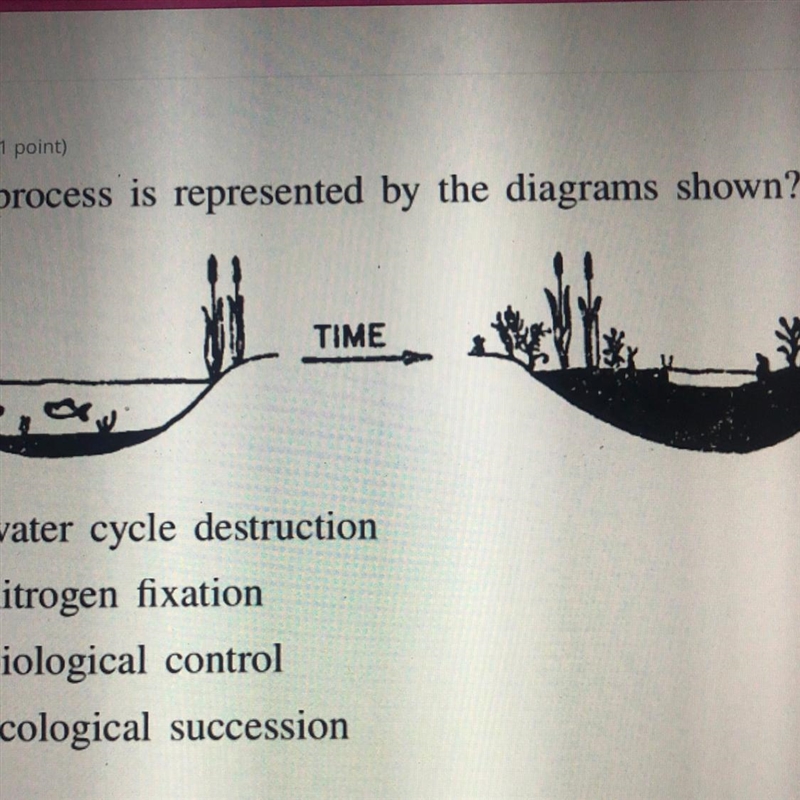 Which process is represented by the diagrams shown?-example-1