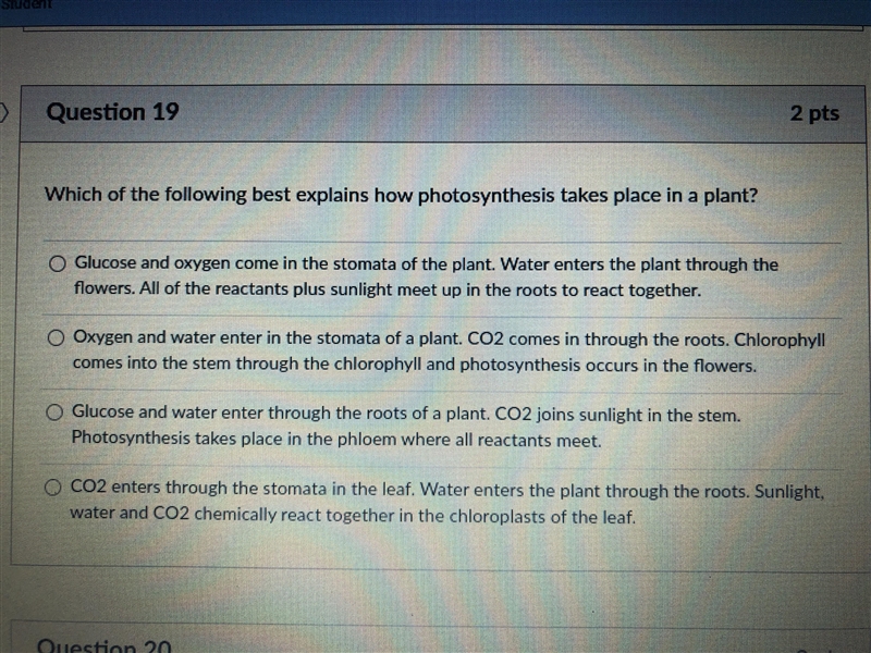 Which of the following explains how photosynthesis takes place in a plant?-example-1