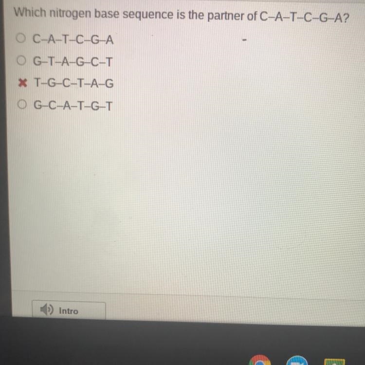 Which nitrogen base sequence is the partner of O C-A-T-C-G-A? O C-A-T-C-G-A O G-T-example-1