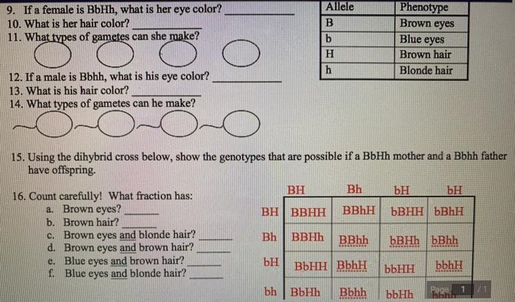 I really need help on these questions. someone please help!!-example-1