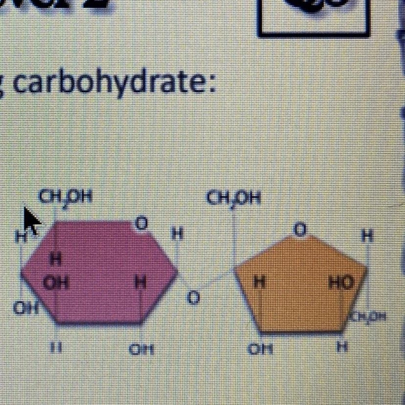 Identify the following carbohydrate A. Monosaccharide B. Disaccharide C. Polysaccharide-example-1