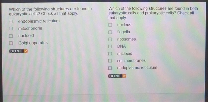 Which of the following structures are found in eukaryotic cells? Check all that apply-example-1