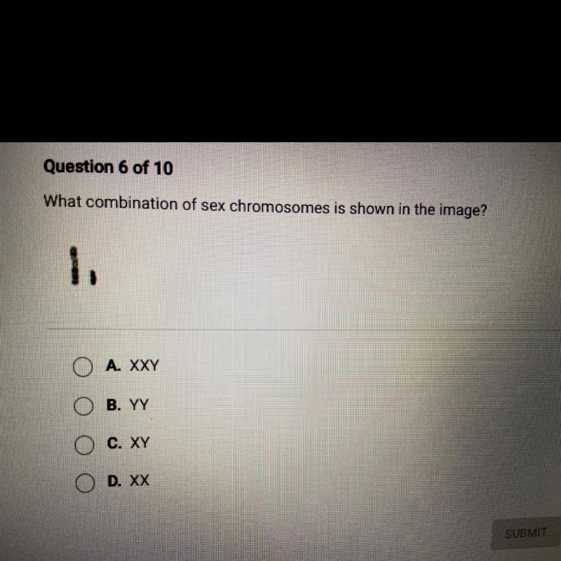 What combination of sex chromosomes is shown in the image? o Please help a boi out-example-1