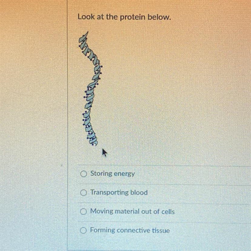 Look at the protein below. A. Storing energy B. Transporting blood C. Moving material-example-1