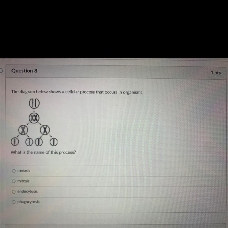 What is the name of this process?-example-1