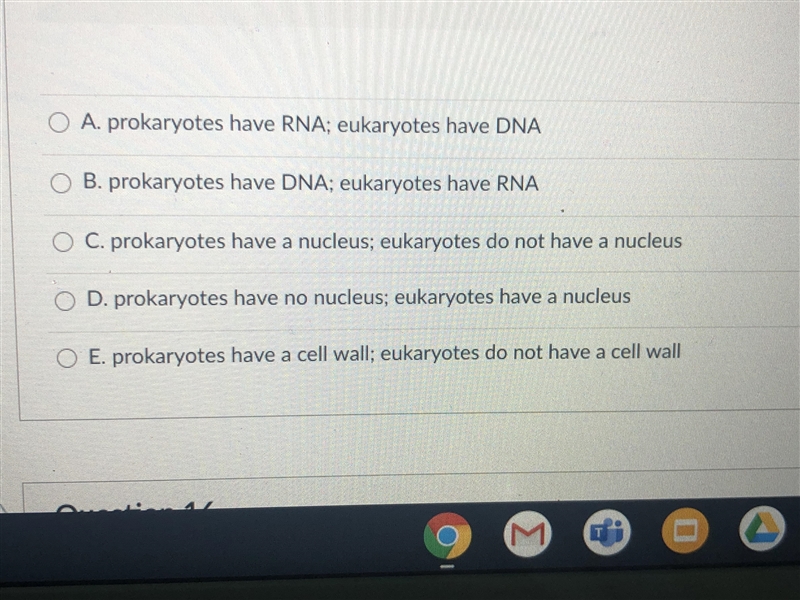 Prokaryotes and eukaryotes are different because:-example-1