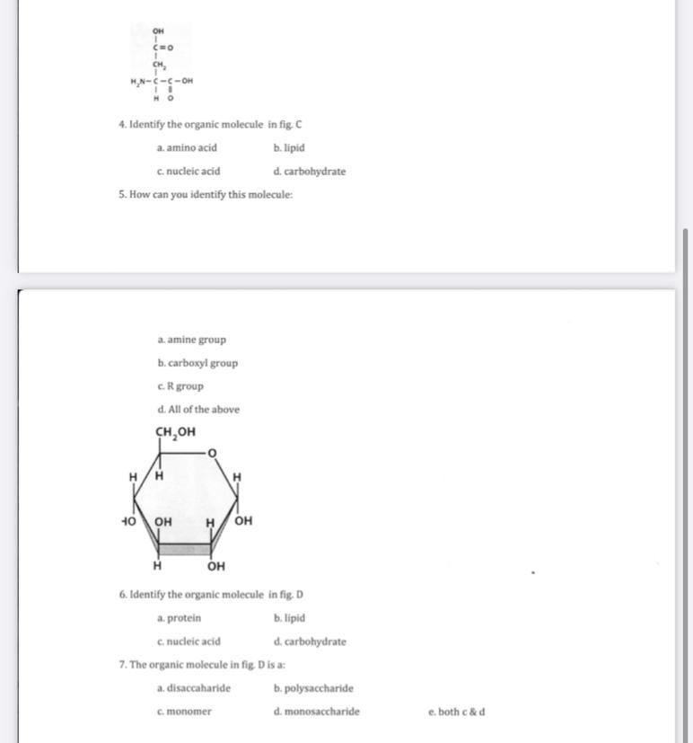 Chapter 3 review questions-example-1