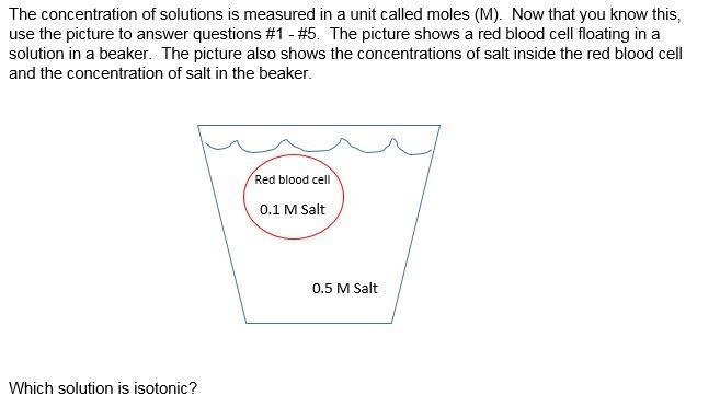 Need help with this question in the picture-example-1