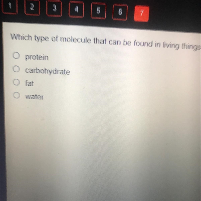 Which type of molecule that can be found in living things protein carbohydrate rat-example-1