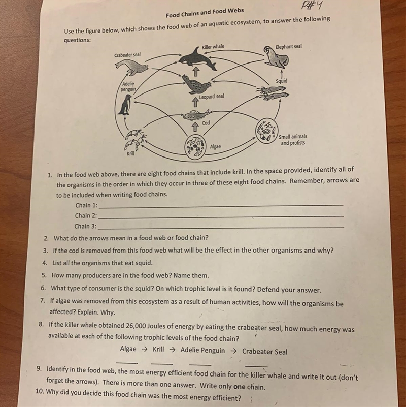 Please help with number 8,9and 10 If the killer whale obtained 26000 joules of energy-example-1