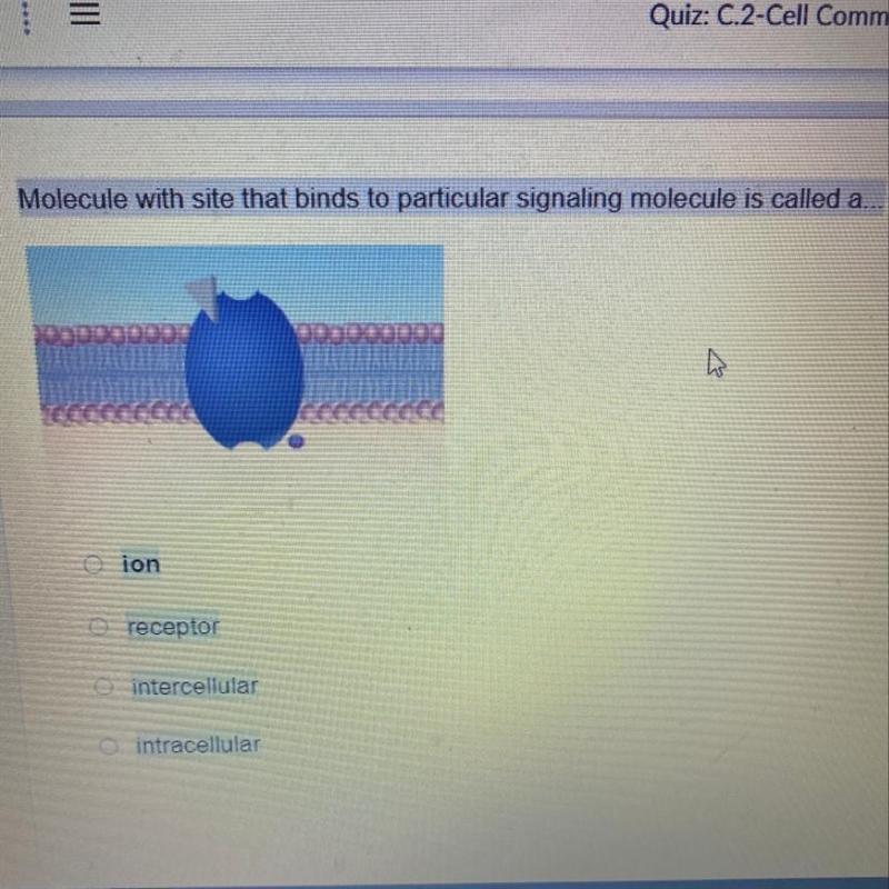 Molecule with site that binds to particular signaling molecule is called a...-example-1