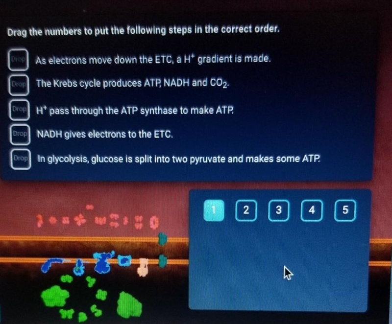 Help Please ATP Synthase​-example-1