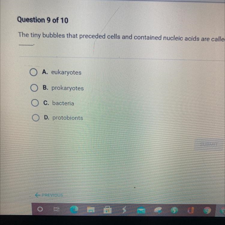 The tiny bubbles that preceded cells and contained nucleic acids are called-example-1